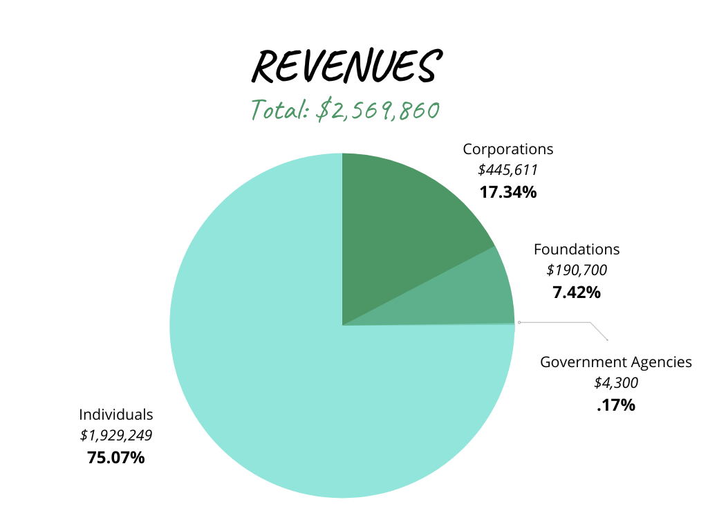 Foundation Revenue Chart