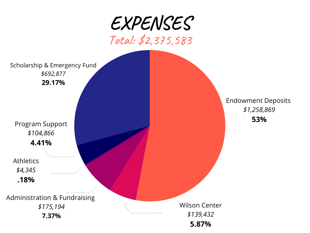 Foundation Expense Chart